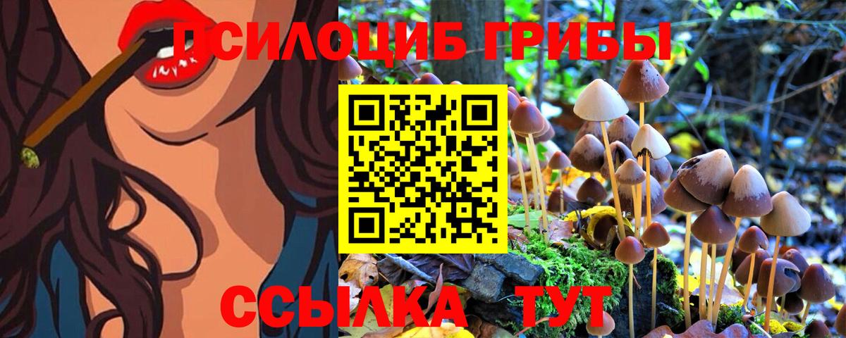 Прокопьевск  Галлюциногенные грибы MAGIC MUSHROOMS  Псилоцибиновые грибы Psilocybine cubensis  Вход с VPN 