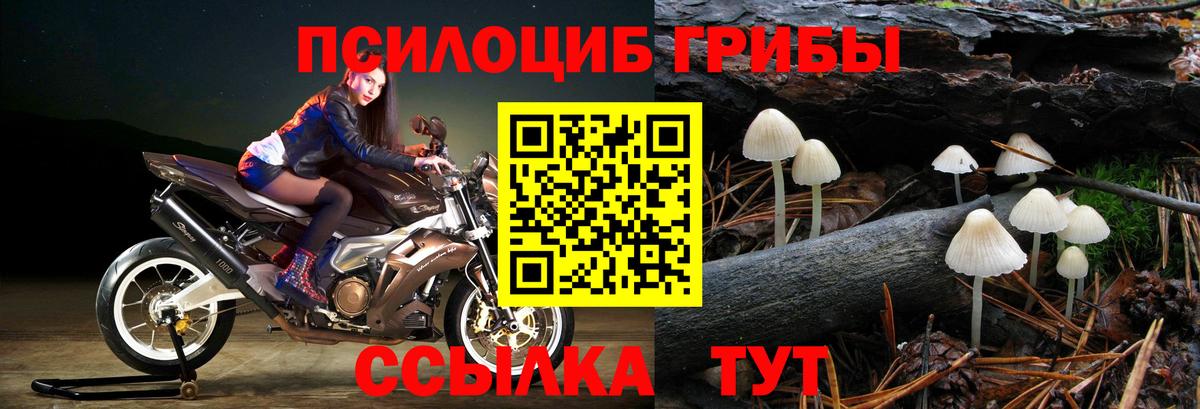 Псилоцибиновые грибы MAGIC MUSHROOMS Прокопьевск